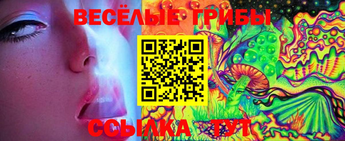 Галлюциногенные грибы прущие грибы  как найти наркотики  Улан-Удэ  Вход с VPN  Псилоцибиновые грибы Cubensis 